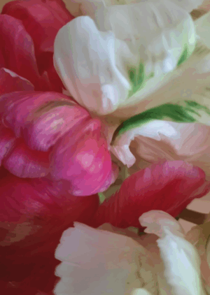 E Gabriele Rech Tulpensalat